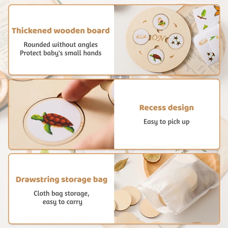 Montessori Life Cycle Wooden Learning Set – Learn, Wonder and Understand