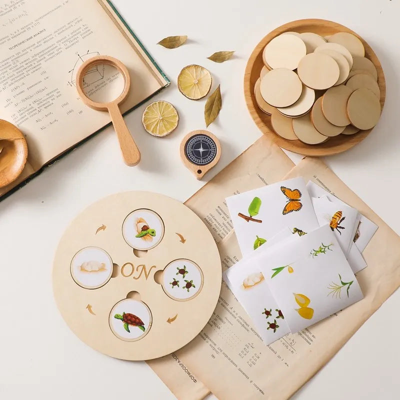 Montessori Life Cycle Wooden Learning Set – Learn, Wonder and Understand
