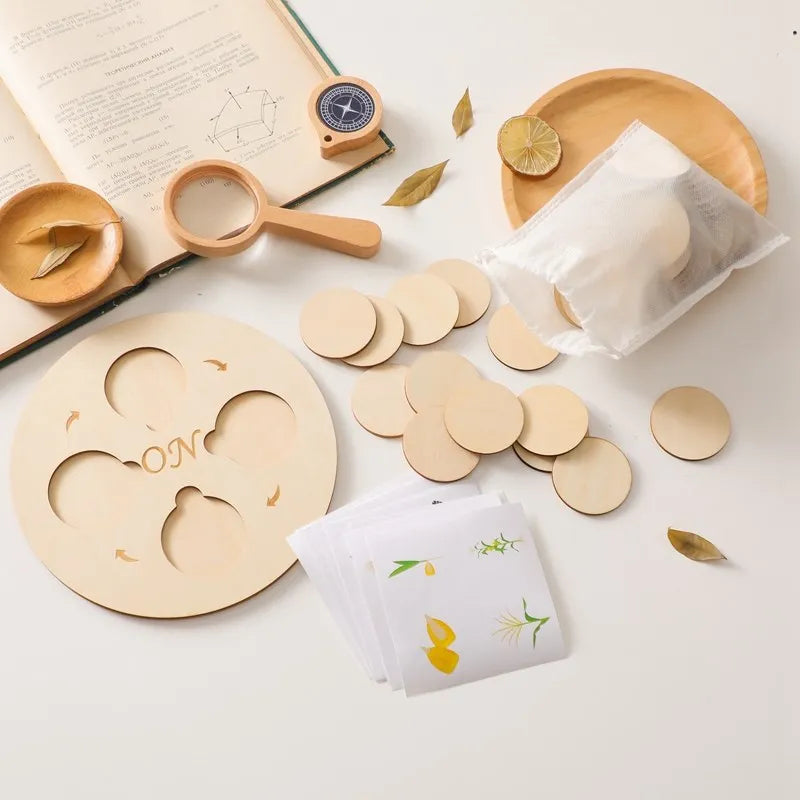 Montessori Life Cycle Wooden Learning Set – Learn, Wonder and Understand