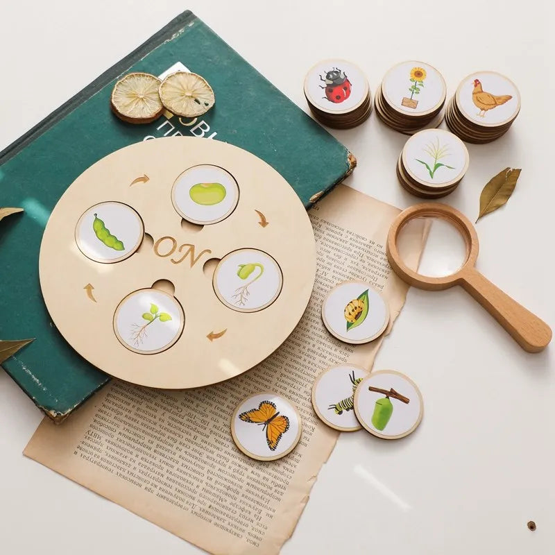 Montessori Life Cycle Wooden Learning Set – Learn, Wonder and Understand