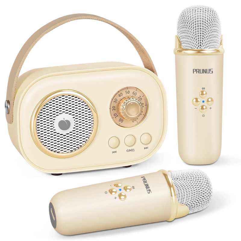 Portable Karaoke System for Kids and Families