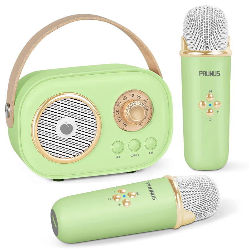 Portable Karaoke System for Kids and Families