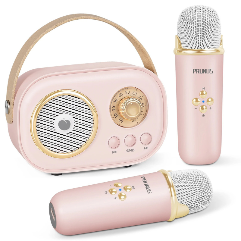 Portable Karaoke System for Kids and Families