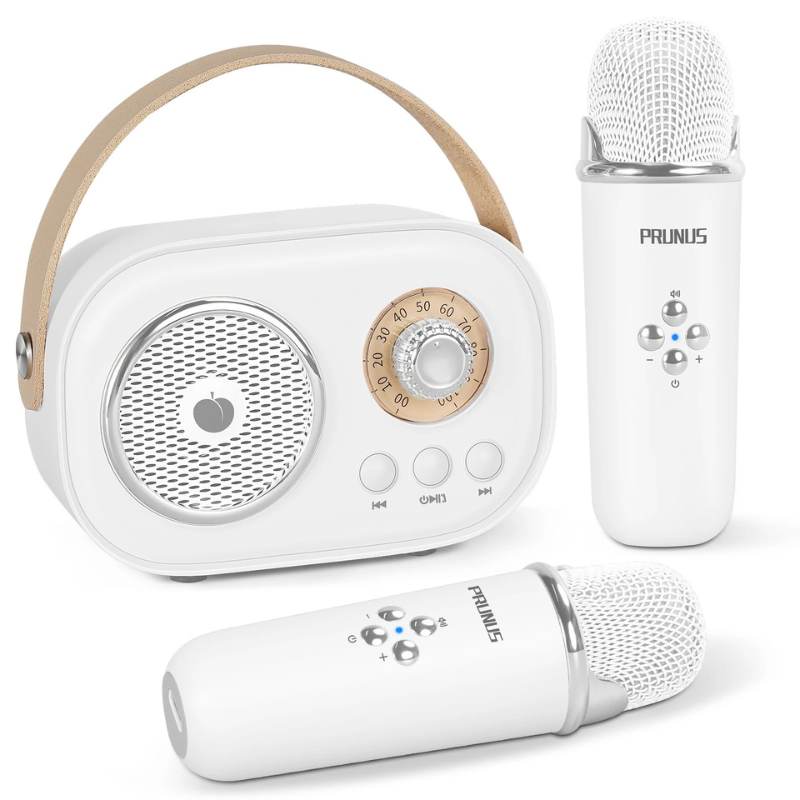 Portable Karaoke System for Kids and Families