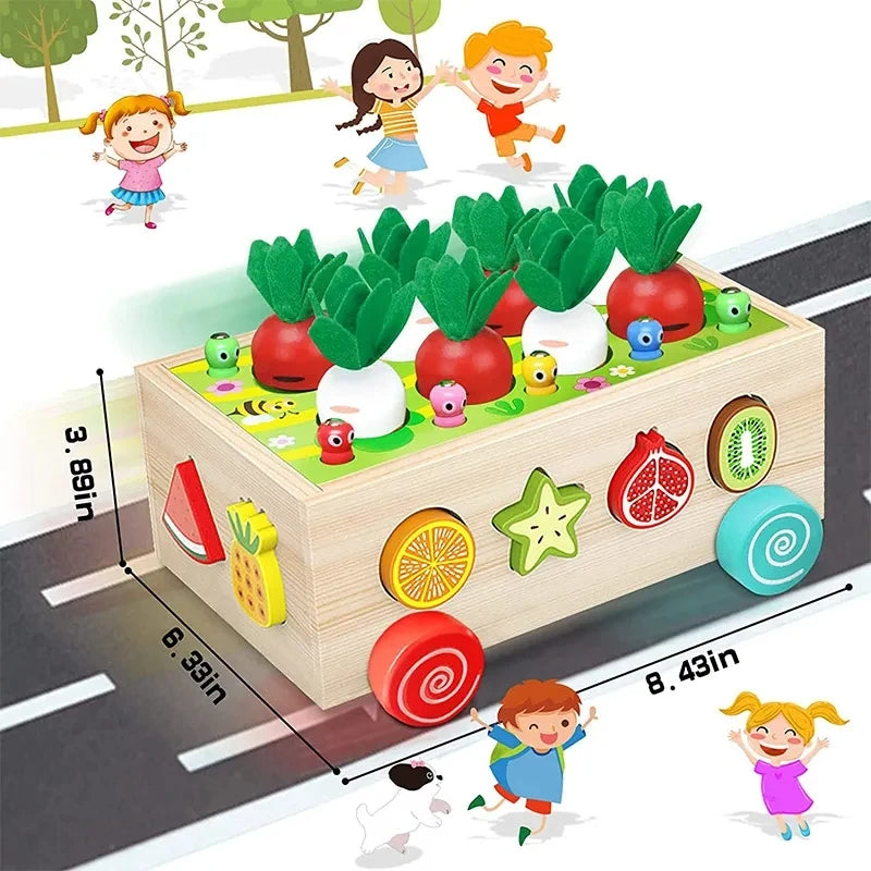 Montessori Wooden Toy – Learning Garden