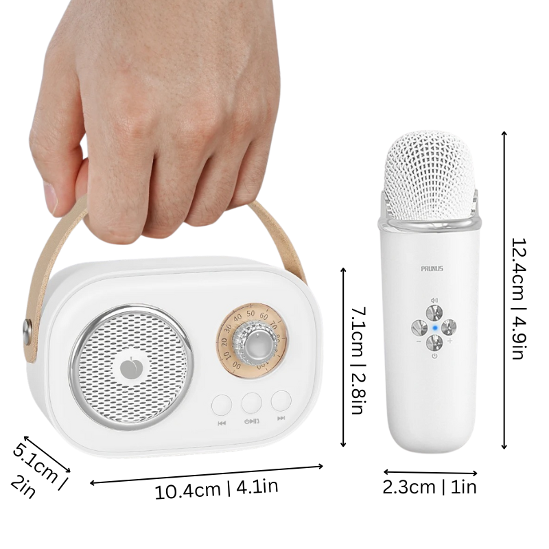 Portable Karaoke System for Kids and Families
