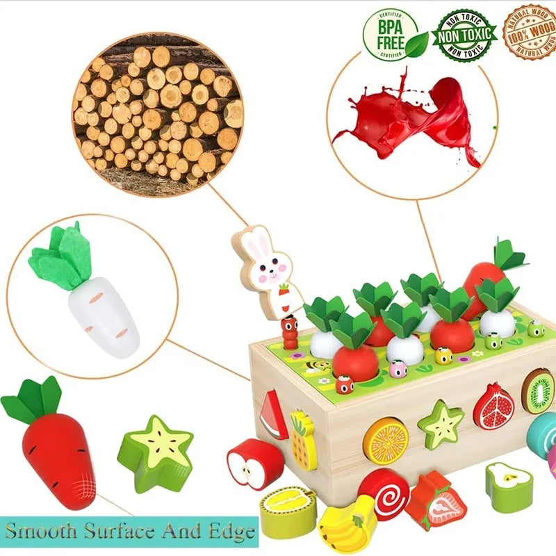 Montessori Wooden Toy – Learning Garden