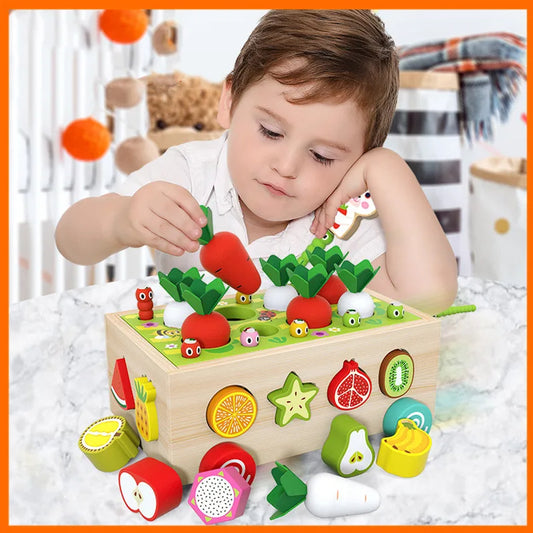 Montessori Wooden Toy – Learning Garden