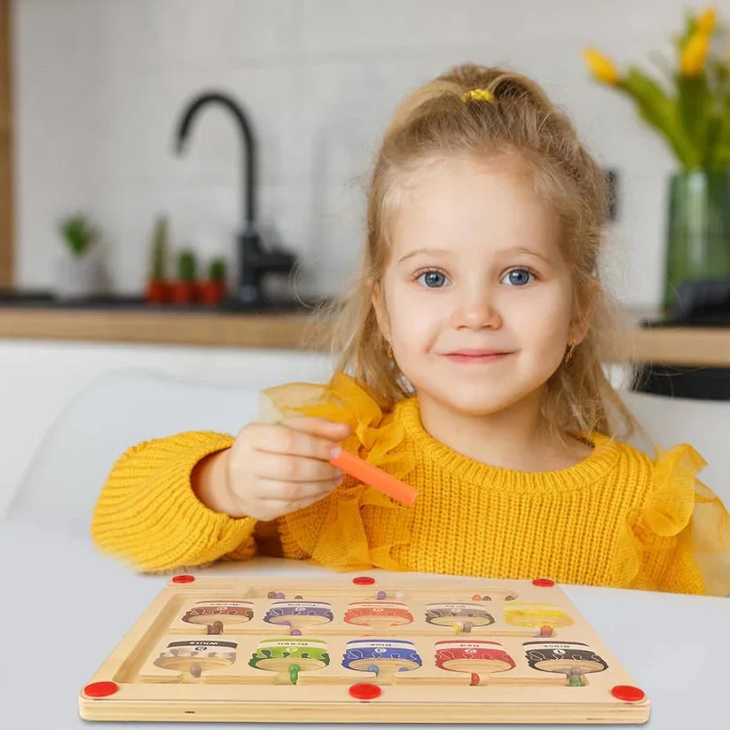 Montessori Magnetic Maze for Kids – Learn Colours, Numbers & Fine Motor Skills Through Play